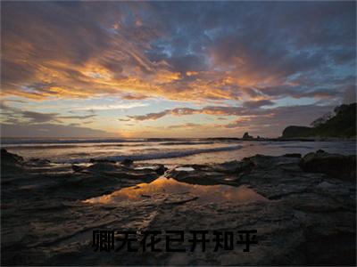 卿无花已开（司瑾禾独孤御）全文免费阅读无弹窗大结局_卿无花已开热门小说最新章节阅读
