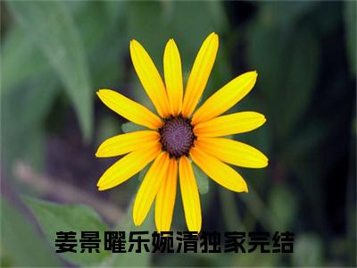 姜景曜乐婉清知乎最新章节-姜景曜乐婉清全文在线阅读无弹窗