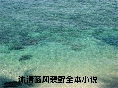 (热推新书)沐清菡风袭野小说在线分享-（沐清菡风袭野）小说全文免费阅读_沐清菡风袭野最新章节列表_笔趣阁