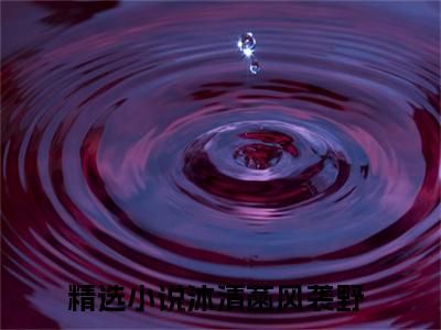 沐清菡风袭野在线阅读（沐清菡风袭野）全文免费阅读无弹窗大结局_沐清菡风袭野免费最新章节列表_笔趣阁