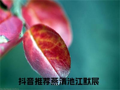 燕清池江默宸全文免费阅读无弹窗大结局-燕清池江默宸小说在哪里可以看