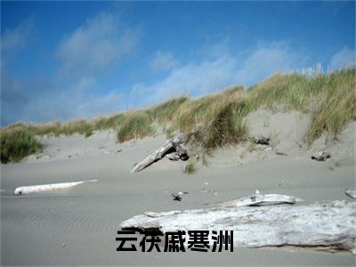 全家流放啃树皮，我搬空国库造反了（完整版）小说推荐-全家流放啃树皮，我搬空国库造反了热文小说云茯戚寒洲免费阅读全文