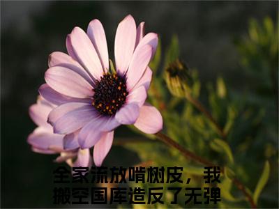 小说全家流放啃树皮，我搬空国库造反了全文阅读-云茯戚寒洲小说全家流放啃树皮，我搬空国库造反了大结局