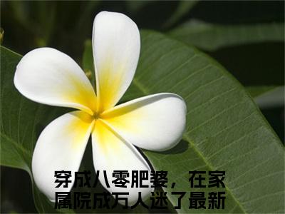 （穿成八零肥婆，在家属院成万人迷了）叶昕意顾赫霖小说免费阅读-小说推荐叶昕意顾赫霖精彩章节在线阅读