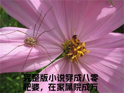 叶昕意顾赫霖（穿成八零肥婆，在家属院成万人迷了）全文在线阅读无弹窗大结局_(穿成八零肥婆，在家属院成万人迷了免费阅读全文大结局)最新章节列表_笔趣阁（叶昕意顾赫霖）