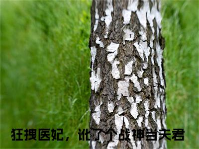 狂拽医妃，讹了个战神当夫君（沈南星赫连君泽）最后结局如何-2023最火热点小说沈南星赫连君泽最新更新