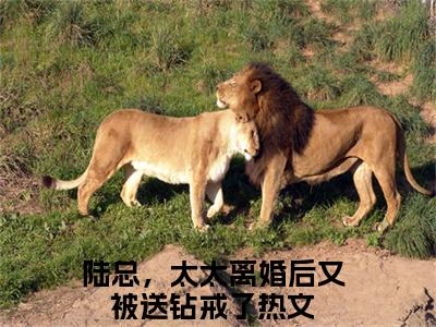 小说《梁锦柔陆宴峋》全文免费阅读无弹窗-陆总，太太离婚后又被送钻戒了小说全文在线赏析_笔趣阁