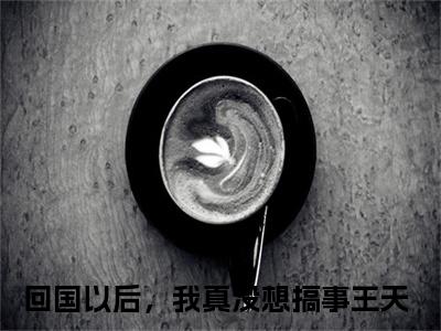 2023新上热文回国以后，我真没想搞事王天-回国以后，我真没想搞事王天小说在线阅读