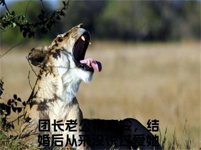 姜诗潼陆星泽（团长老公很高冷，结婚后从来没说过爱她）全文免费阅读大结局-团长老公很高冷，结婚后从来没说过爱她最新章节列表免费阅读大结局
