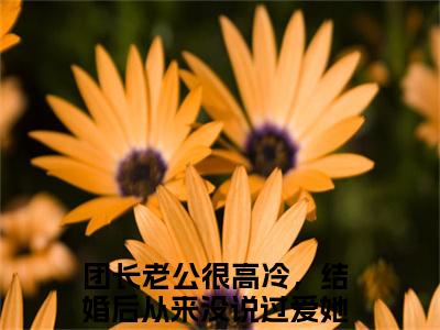 （热推新书）《团长老公很高冷，结婚后从来没说过爱她》全文免费阅读无弹窗大结局_姜诗潼陆星泽无弹窗全文阅读
