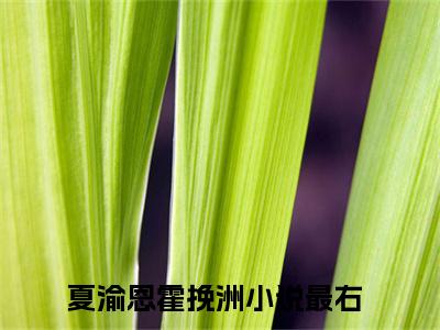 夏渝恩霍挽洲已完结小说《夏渝恩霍挽洲》在线全文阅读