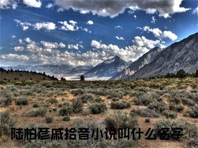 戚拾音陆柏彦（陆柏彦戚拾音）全文免费阅读无弹窗大结局_戚拾音陆柏彦小说全文免费阅读最新章节列表（陆柏彦戚拾音）
