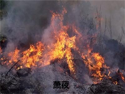 国运，开局扮演徐凤年（萧夜）全文免费阅读_（萧夜）国运，开局扮演徐凤年最新章节小说免费阅读_笔趣阁（萧夜）