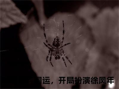 国运，开局扮演徐凤年（萧夜）是哪部小说的主角-国运，开局扮演徐凤年（萧夜）全文无弹窗完整版阅读