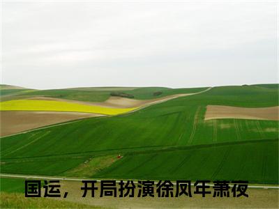萧夜（国运，开局扮演徐凤年）全文阅读完整版_国运，开局扮演徐凤年小说免费阅读大结局（萧夜）