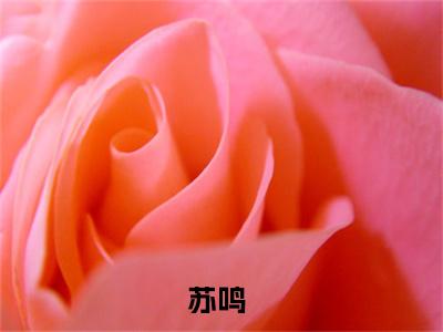 透视未来（苏鸣）全文小说-苏鸣小说最新章节免费阅读