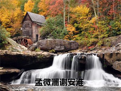 成婚第五年，他出征带回一个女子孟微澜谢安淮快手热文整理-成婚第五年，他出征带回一个女子小说孟微澜谢安淮今日更新章节