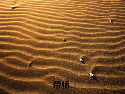 （墨蕴齐顾佳茗）帝师小说全文免费阅读无弹窗大结局_帝师（墨蕴齐顾佳茗）最新章节列表笔趣阁