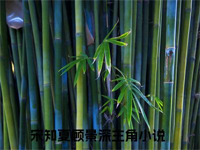 （宋知夏顾景深）抖音宋知夏顾景深小说阅读完结版-宋知夏顾景深小说全文免费阅读