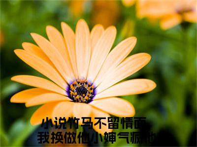 竹马不留情面，我换做他小婶气疯他小说简橙周庭宴周聿风全文免费阅读(竹马不留情面，我换做他小婶气疯他已完结)