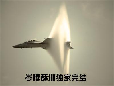 岑曦薛邶全文免费阅读大结局_（岑曦薛邶免费阅读无弹窗）岑曦薛邶最新章节列表笔趣阁（岑曦薛邶）