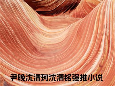 尹晚沈清珂沈清铭满分热推小说 -星河滚烫尹晚沈清珂沈清铭小说全本已完结