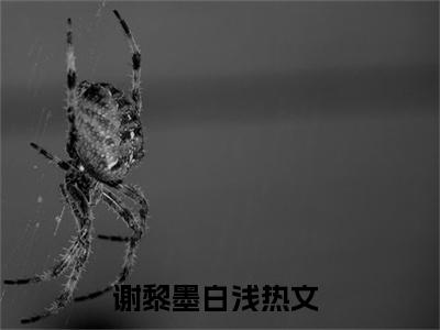谢黎墨白浅（谢黎墨白浅）全文在线阅读无弹窗大结局_(谢黎墨白浅在线阅读)最新章节列表_笔趣阁（谢黎墨白浅）