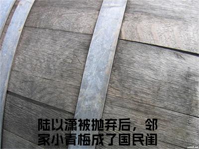陆以潇热门的小说被抛弃后，邻家小青梅成了国民闺女最新更新陆以潇-陆以潇无删减版