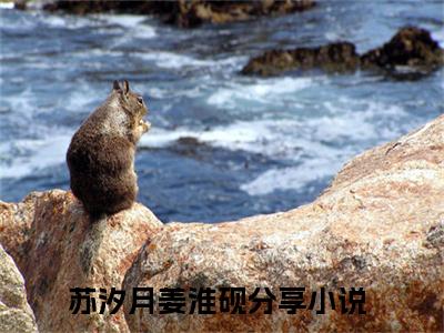 苏汐月姜淮砚小说免费(苏汐月姜淮砚)全文免费阅读无弹窗-苏汐月姜淮砚最新章节列表_笔趣阁