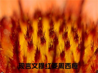 穆红菱周西桓小说全文免费阅读 穆红菱周西桓最新章节