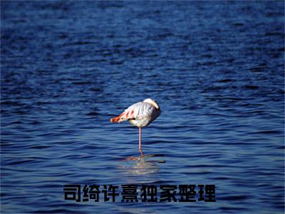司绮许熹（司绮许熹）小说全文-司绮许熹无弹窗免费阅读