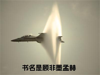 顾非墨孟赫现言热文顾非墨孟赫在线阅读-（顾非墨孟赫）小说分享大结局顾非墨孟赫