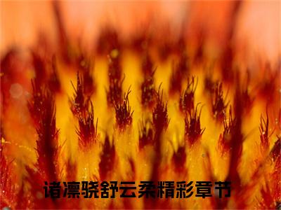 诸凛骁舒云柔小说叫什么名字（诸凛骁舒云柔）完整版大结局-诸凛骁舒云柔小说在线阅读