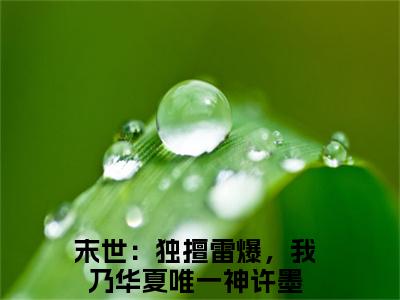 老书虫良心推荐《末世：独擅雷爆，我乃华夏唯一神许墨》末世：独擅雷爆，我乃华夏唯一神许墨小说精彩免费试读