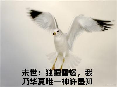 末世：独擅雷爆，我乃华夏唯一神许墨无弹窗（末世：独擅雷爆，我乃华夏唯一神许墨）全文免费阅读无弹窗大结局_(末世：独擅雷爆，我乃华夏唯一神许墨)末世：独擅雷爆，我乃华夏唯一神许墨最新章节列表_笔趣阁（末世：独擅雷爆，我乃华夏唯一神许墨）