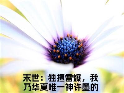 末世：独擅雷爆，我乃华夏唯一神许墨（末世：独擅雷爆，我乃华夏唯一神许墨）全文免费阅读无弹窗大结局_末世：独擅雷爆，我乃华夏唯一神许墨全文阅读_笔趣阁（末世：独擅雷爆，我乃华夏唯一神许墨）