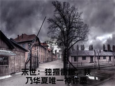 末世：独擅雷爆，我乃华夏唯一神许墨（末世：独擅雷爆，我乃华夏唯一神许墨）全文免费阅读无弹窗大结局_(末世：独擅雷爆，我乃华夏唯一神许墨小说免费阅读)_笔趣阁