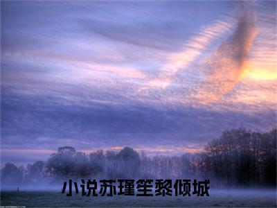 苏瑾笙黎倾城（苏瑾笙黎倾城）全文免费阅读无弹窗大结局_(苏瑾笙黎倾城小说免费阅读)_笔趣阁