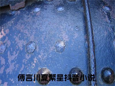 傅言川夏繁星全集章节小说免费阅读完整版（傅言川夏繁星）-傅言川夏繁星小说免费阅读