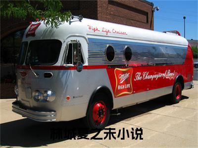 林城夏之未免费阅读最新章节列表_笔趣阁