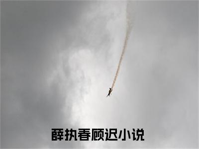 薛执春顾迟小说（薛执春顾迟）全文免费阅读无弹窗大结局_薛执春顾迟（薛执春顾迟）最新章节列表-笔趣阁（薛执春顾迟）