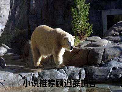 顾迟薛执春(顾迟薛执春)最新章节在线阅读-顾迟薛执春已完结全集大结局小说