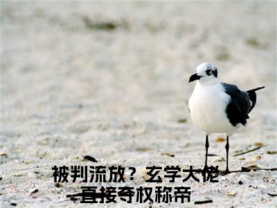 谢绾宁萧景衡免费阅读 被判流放？玄学大佬直接夺权称帝最新章节目录
