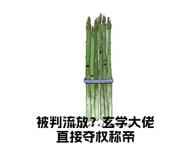 被判流放？玄学大佬直接夺权称帝全网首发最新小说，主角谢绾宁萧景衡全文在线免费阅读