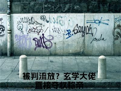 被判流放？玄学大佬直接夺权称帝小说免费阅读 谢绾宁萧景衡完整版全文大结局