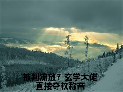 被判流放？玄学大佬直接夺权称帝小说热门章节免费阅读_被判流放？玄学大佬直接夺权称帝最新章节列表_笔趣阁