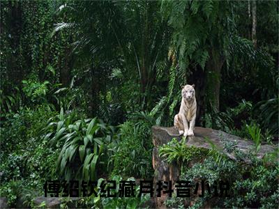 傅绍钦纪藏月（傅绍钦纪藏月）全文免费阅读无弹窗_傅绍钦纪藏月最新小说_笔趣阁（傅绍钦纪藏月）