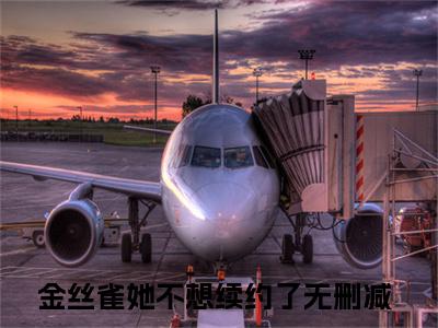 沈星冉时晏全文无弹窗阅读 金丝雀她不想续约了大结局全文免费