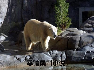 老书虫良心推荐《季唁桑慬》季唁桑慬小说精彩免费试读