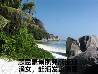 顾意萧景夙（穿成流放渔女，赶海发家撩暴君小说全文）在线阅读-顾意萧景夙全文免费阅读无弹窗大结局
